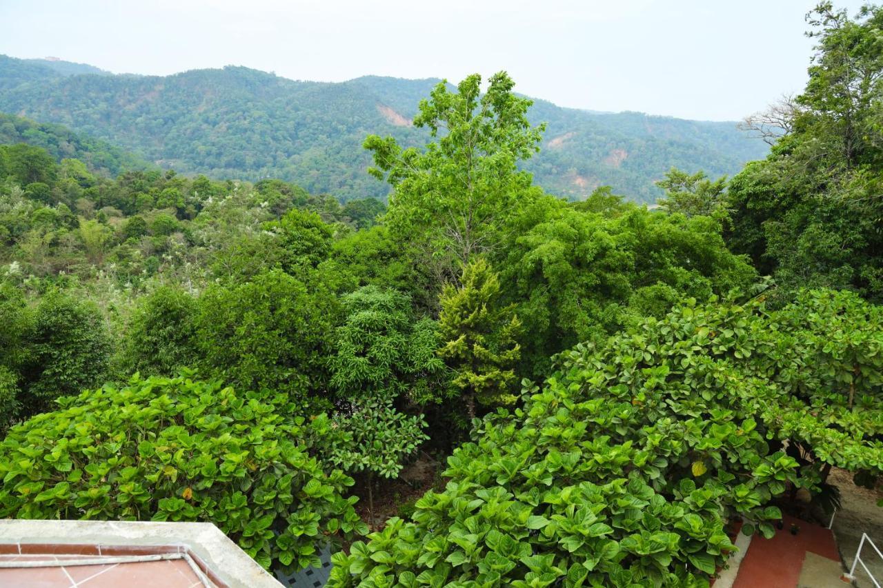 Copperhill- A Luxury Homestay Madikeri Εξωτερικό φωτογραφία